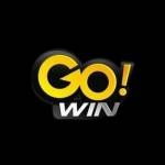Gowin 1org Profile Picture