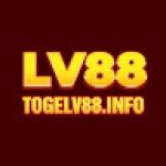Togelv88 Info Profile Picture