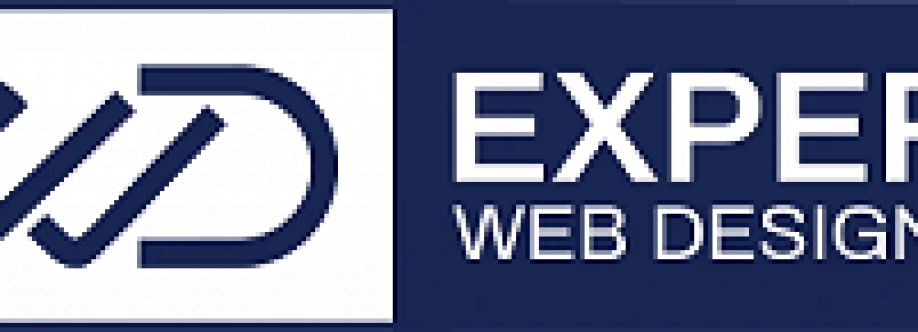 Expert Web Designing
