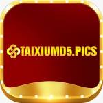 taixiumd5 pics profile picture