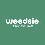 weedsie weedsie Profile Picture