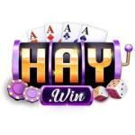 haywin hu net Profile Picture