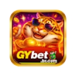 gy ltd Profile Picture