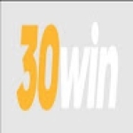30win Profile Picture