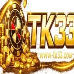 TK33 Profile Picture