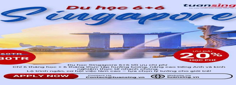 Du Học Singapore cover