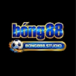 Bong888 studio Profile Picture