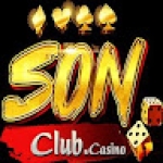 Sonclub kravmaga Profile Picture