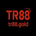 TR88 gold Profile Picture