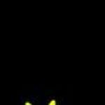 Following profile image