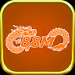 88M info Profile Picture