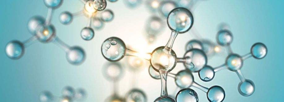 Panacea Chem Specialities LLP Cover Image