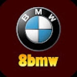8bmw Profile Picture