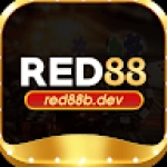 Red88b dev Profile Picture