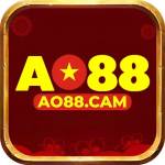 AO88 Profile Picture
