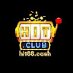 hit88 cash Profile Picture
