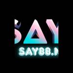 Say88 name