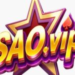 Saovip dev Profile Picture