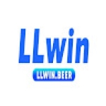 Llwin beer Profile Picture