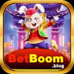 bet boom Profile Picture