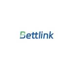 Bettlink Electronic Limited Profile Picture