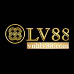 Vnhlv88 com Profile Picture
