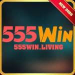 555win living Profile Picture