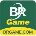 brgamewin org
