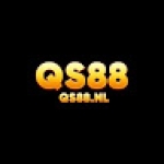 Qs88 nl Profile Picture