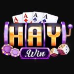 Haywin design