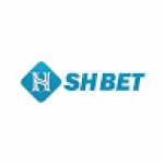 Shbetnv com Profile Picture