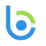 Bloom Consulting Services