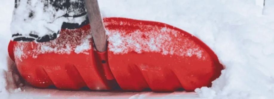 Snow Shovelers cover