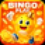BINGOPLAY BINGOPLAY