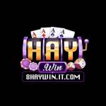 Haywin it com Profile Picture