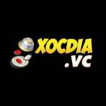 xocdia vc Profile Picture