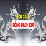 rongbachkim24h org Profile Picture