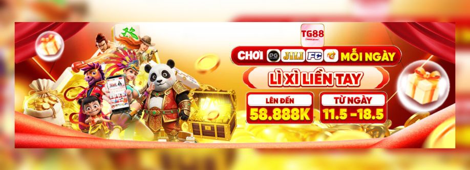 Tg888 gb net cover