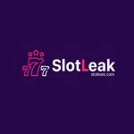 Slotleak Profile Picture