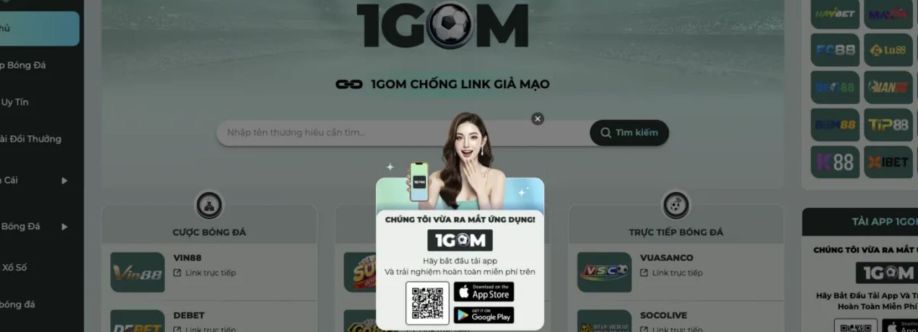 1GOM Googlebrcom cover