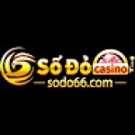 SODO66 Profile Picture
