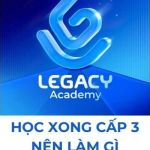 hocxongcap3nenlamgi