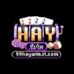 99haywinit com