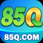 85q org Profile Picture