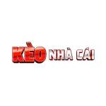 CEO Mai Anh Tai Profile Picture
