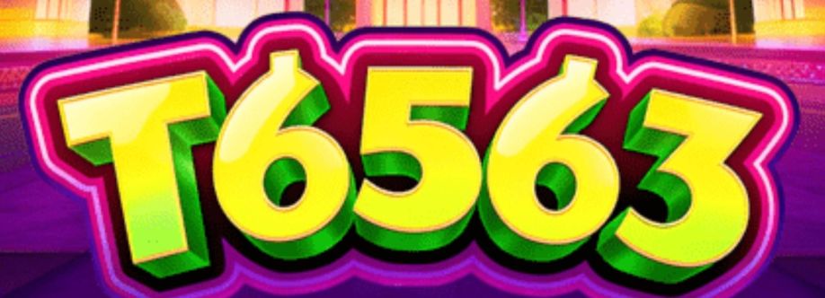 T6563 org cover