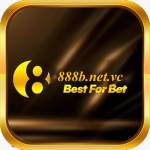 888B netvc