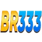 BR333
