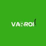 Vaoroitv express