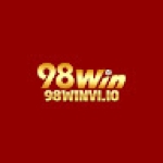98winvi io Profile Picture